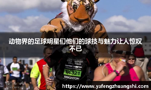 动物界的足球明星们他们的球技与魅力让人惊叹不已
